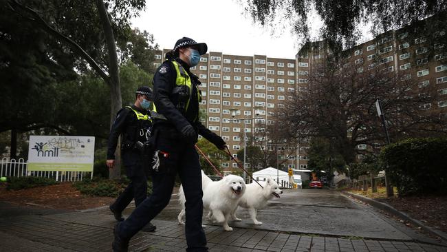 Police walking dogs outside 33 Alfred Street. Picture: NCA NewsWire / Daniel Pockett