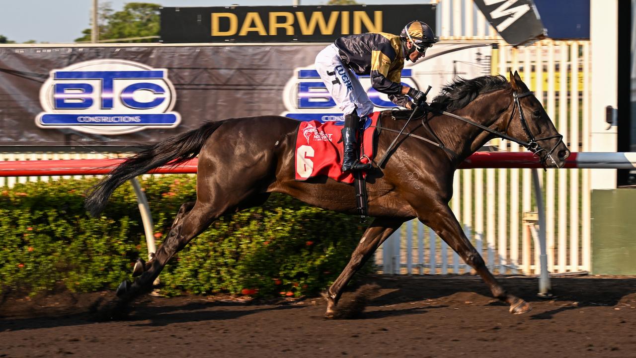 The Peter Robl trained Hadouken won at Fannie Bay with jockey Jarrod Todd on Derby Day. Picture: Caroline Camilleri