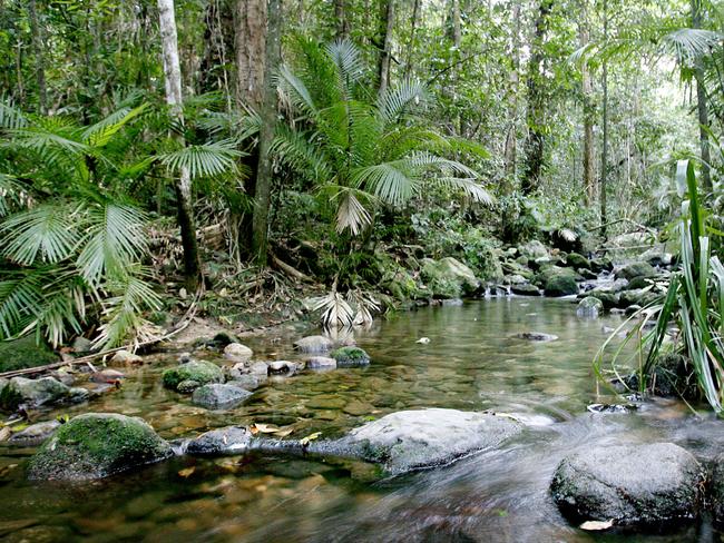 Where else but Queensland? | The Courier Mail