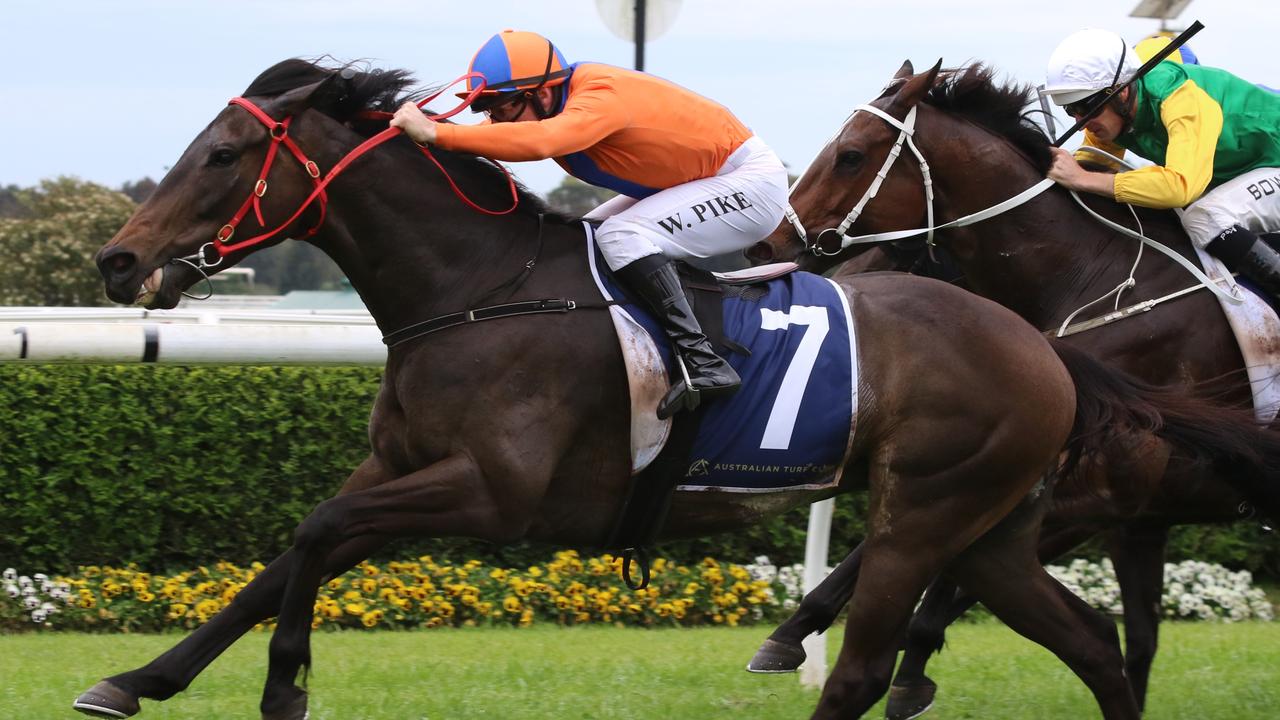 Sindacato (green, yellow sleeves) finished second to Redwood Shadow (orange) last start and looks a good each-way chance in race 10 at Newcastle. Picture: Grant Guy