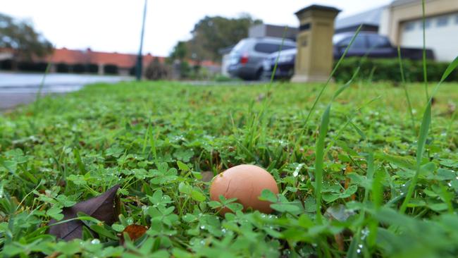 An egg lies on the lawn of a house in Birch Avenue - the scene of a terrifying road rage attack on Monday night. Photo: AAP/ Brenton Edwards