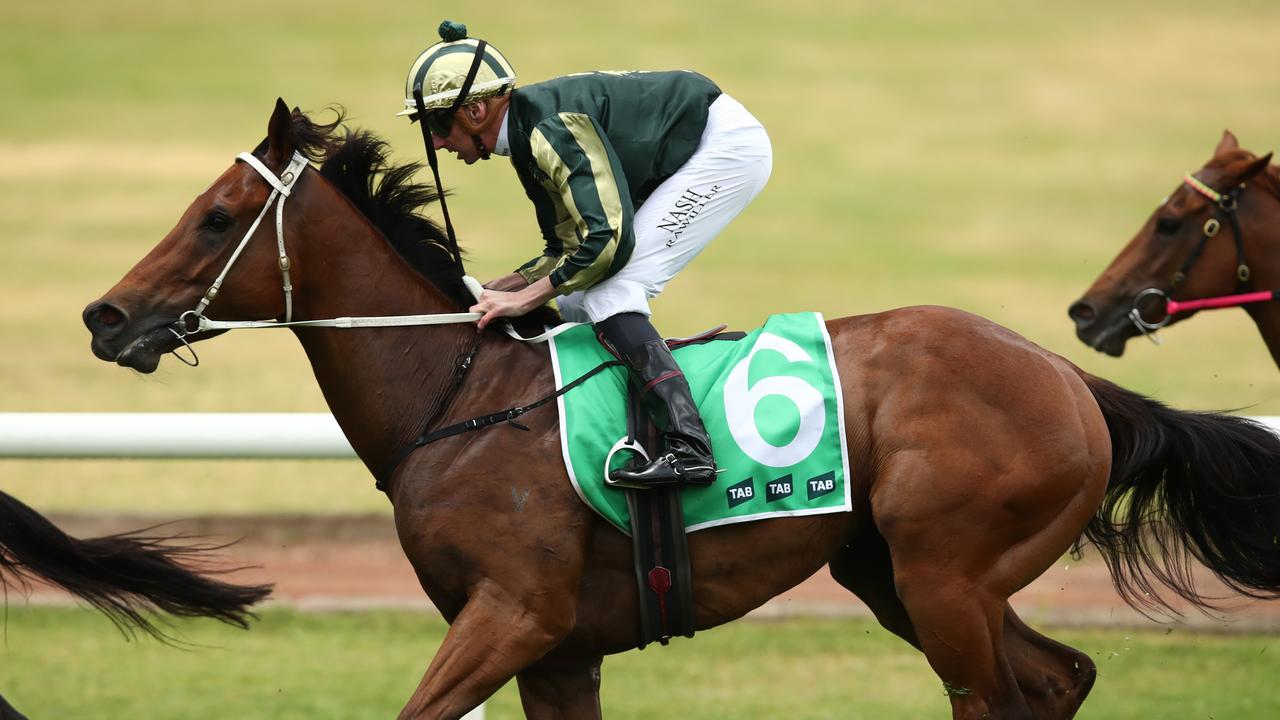 Tribeca Star is Graeme's best bet of the day at the Gold Coast on Saturday. Photo: Jason McCawley/Getty Images.