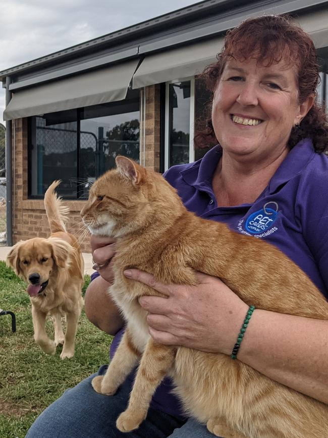 Sharon Moore babysitting golden retriever Odi, whose owners are on holiday in Tasmania, and her cat Harry. Picture: Zizi Averill