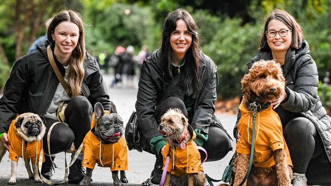 Million Paws Walk at Adelaide Botanic Gardens. Picture: Brenton Edwards