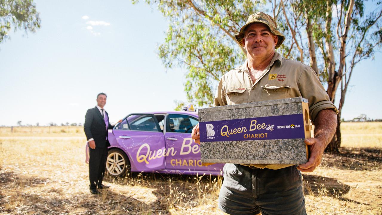 Beekeeper Craig Scott hails Chico Hazik’s Queen Bee Chariot in Echuca. Picture: supplied