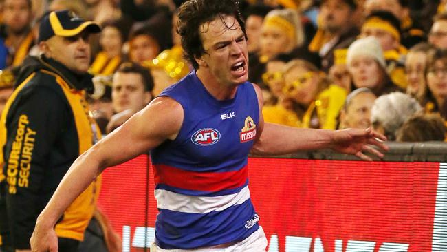 Liam Picken celebrates a goal against Hawthorn. Picture: George Salpigtidis