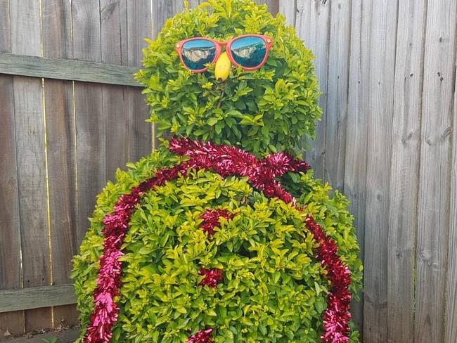 Queensland's version of a snowman by Micheal Kerwin, Redbank Plains. Credit: @michealkerwin