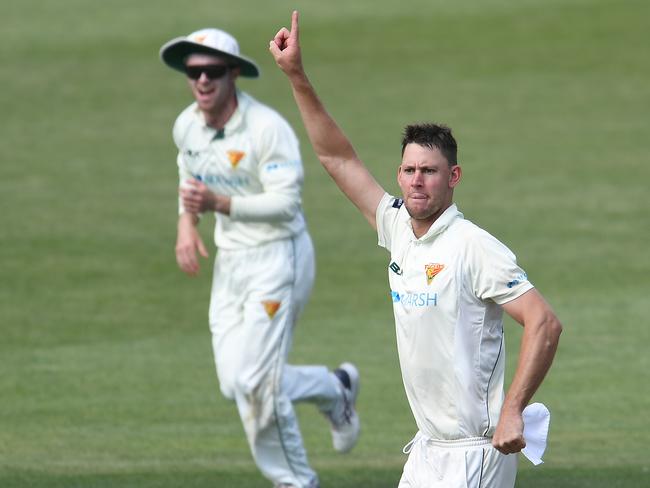 Tasmania allrounder Beau Webster celebrates a wicket during day four of the Sheffield Shield match between the Tigers and Queensland at Blundstone Arena on February 20, 2021. Picture: Steve Bell/Getty Images