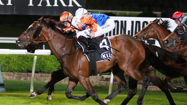 Cuban Royale has been well backed in the Midway Handicap. Picture: Grant Guy