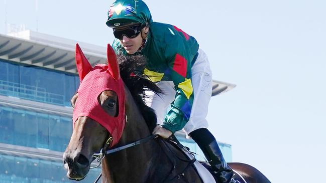 Alligator Blood scorched the field to win the Australian Guineas on Saturday. Picture: AAP