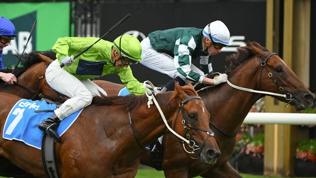 Reserve Bank (right) finishing second to First Settler in the Group 2 Danehill Stakes last spring. Picture: Vince Caligiuri/Getty Images