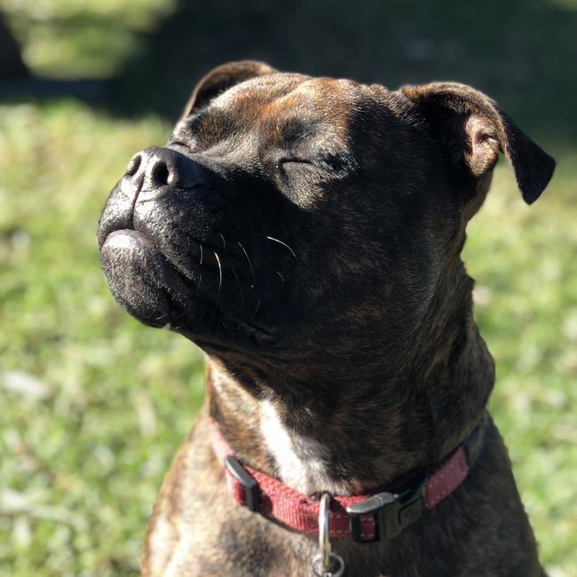 Marly Lea Narara in the sunshine on a spring day. Picture: Kasey Ryan