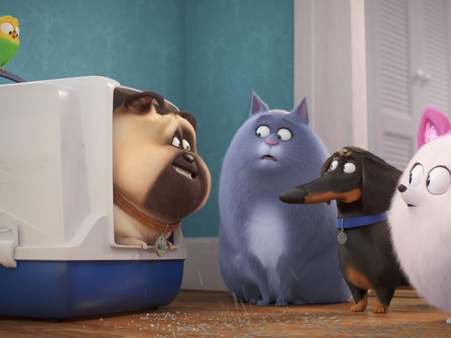 The Secret life Of Pets. Picture: Supplied