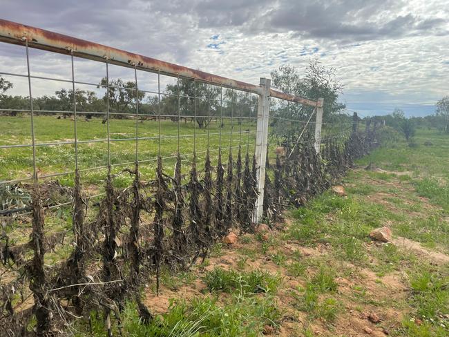 Tash Johnston and a team from Farm Angels on a property between Quilpie and Windorah still recovering from the devastating Queensland floods.