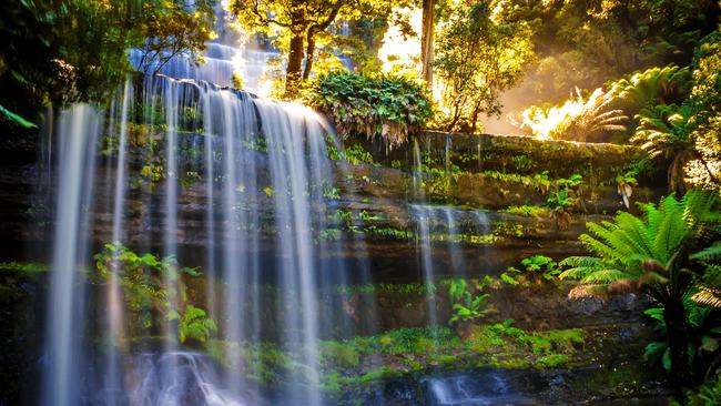 Despite the calming nature of Russell Falls in Mt Field National Park Tasmania, the cafe owners are still experiencing aggression. Picture: iStock