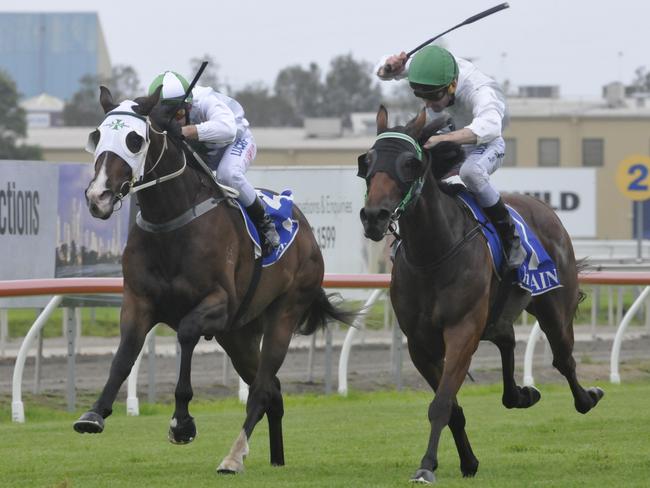 SISTER and brother combination Angela Plumb (trainer) and Ryan Plumb (jockey) join forces to win Stuart James Memorial Maiden Handicap (1800m) with Barraaj on Gold Coast on Saturday, January 21, 2017. Photo:Jessica Hawkins/Trackside Photography