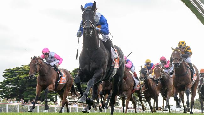 Jigsaw won the Listed Hareeba Stakes last year. Picture: Brett Holburt/Racing Photos via Getty Images