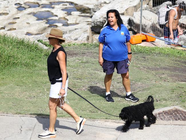 29 MARCH 2020 SYDNEY AUSTRALIAWWW.MATRIXNEWS.COM.AUEXCLUSIVE PICTURESFrustrated council Rangers pictured ordering swimmers, surfers and sun bakers out of McKenzies Bay which is a hive of activity despite beach closures and fences to prevent entry. No fines were issued.  Note: Matrix makes no representations or warranties regarding names, trademarks or logos appearing in the images.