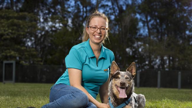 More owners need to better train their dogs, such as using services provided by dog etiquette trainer Janine Soryal, pictured with her dog Gus. Picture: NIGEL HALLETT