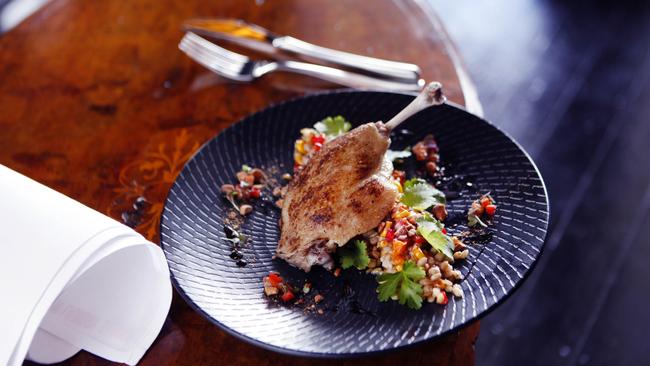 Confit Duck with Lentils at Tosca Browns.