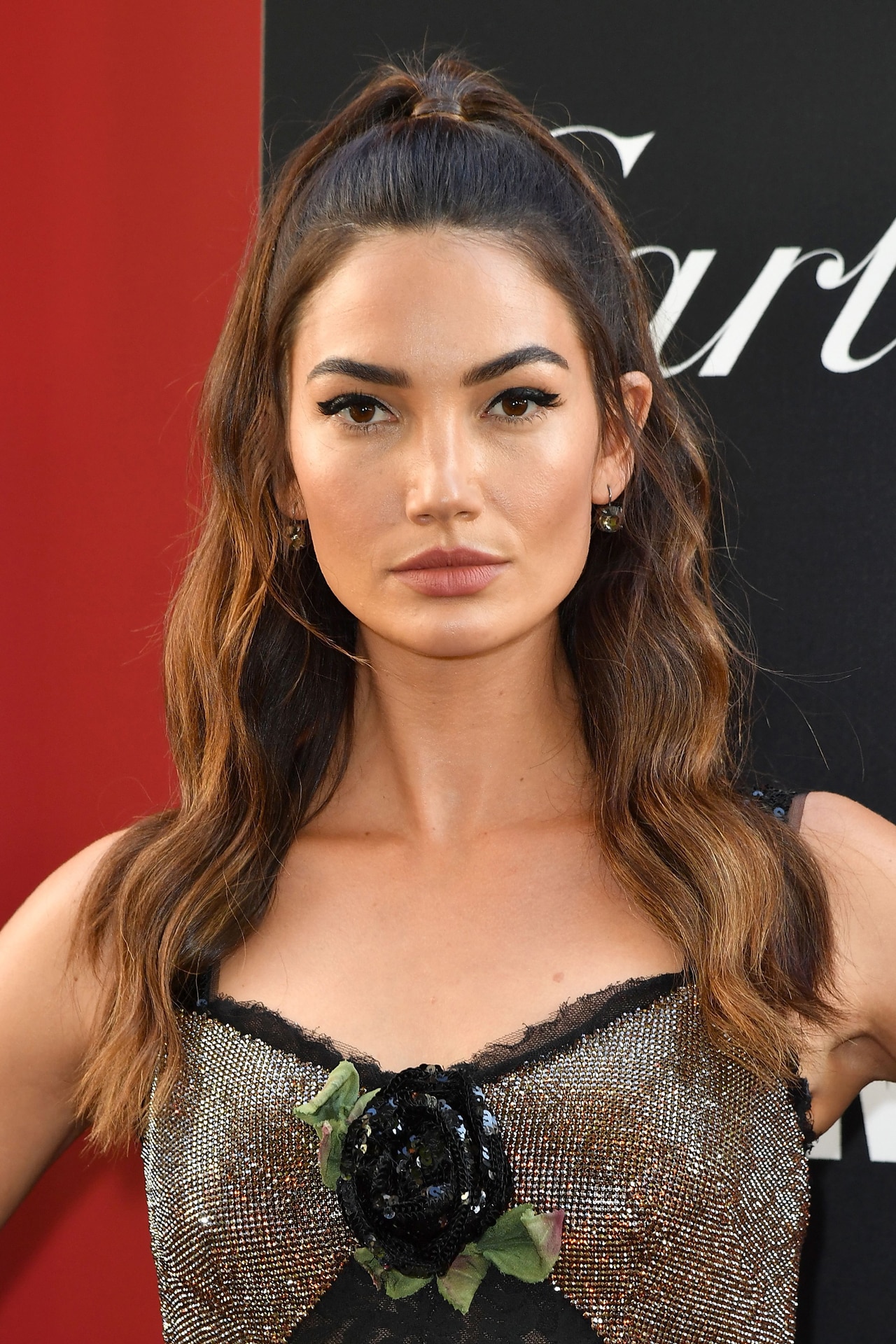 Victoria's Secret model Lily Aldridge is pregnant with her second