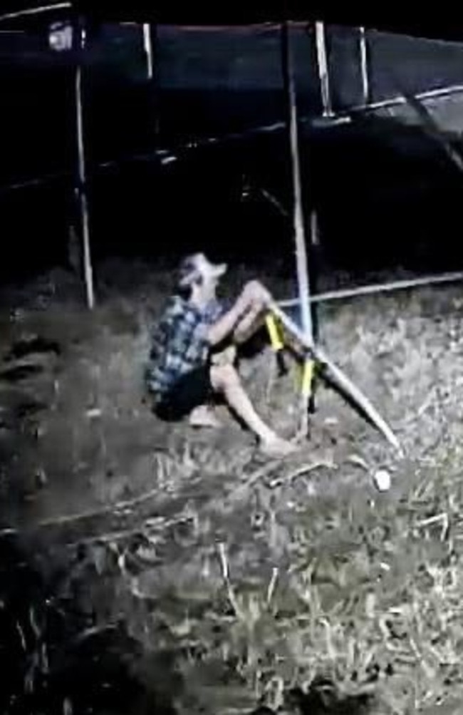 Townsville police investigate stolen horse from Hudson’s Circus in Garbutt on the weekend