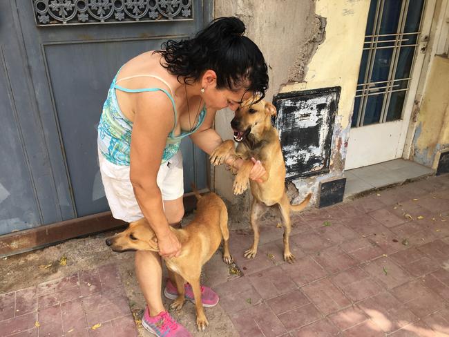 Gil’s neglected dogs with an animal welfare worker. Picture: News Corp Australia