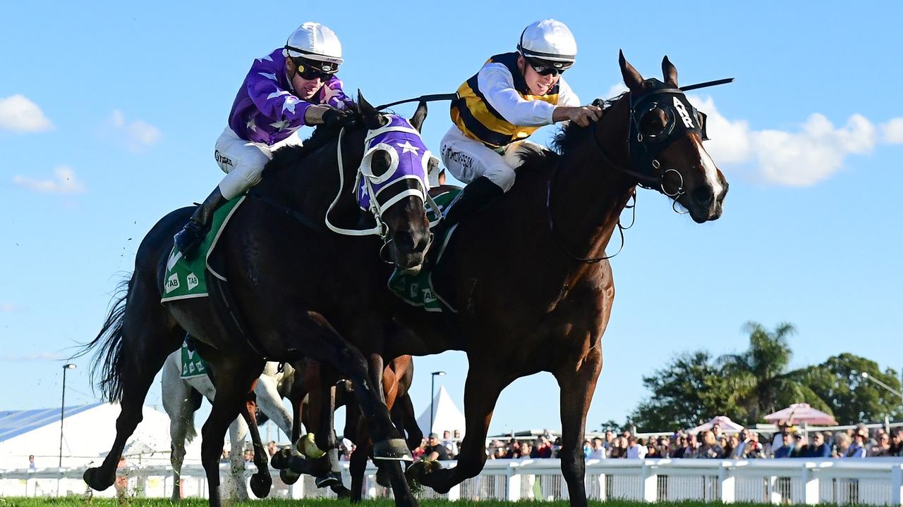 The Ipswich Cup will go ahead on Saturday. Picture: Grant Peters — Trackside Photography.