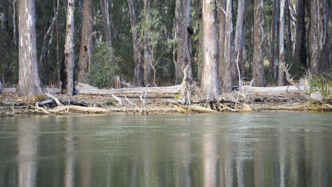 Murray River choke failure: slow flow to cost irrigators $230m by 2030 ...