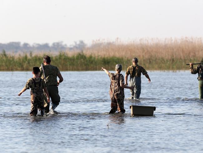 Animal activists’ dob on duck hunters goes wrong