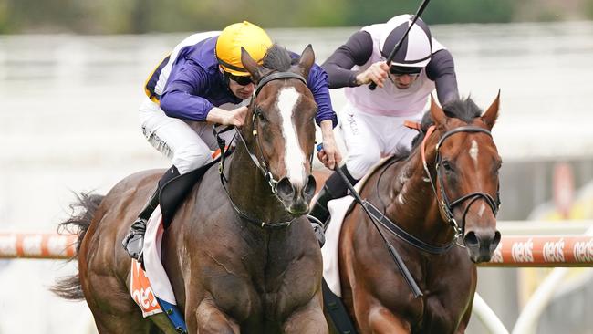 Zac De Boss notched his second win to remain unbeaten. Picture: Getty Images