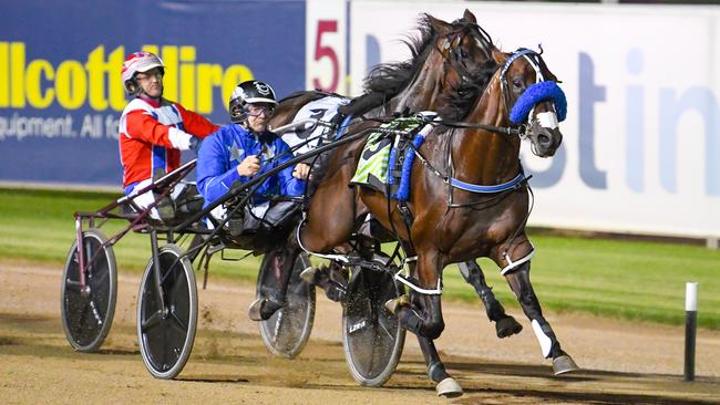 Dont Stop Dreaming will take on superstar pacer Leap To Fame in Saturday night’s Cranbourne Cup. Picture: Supplied