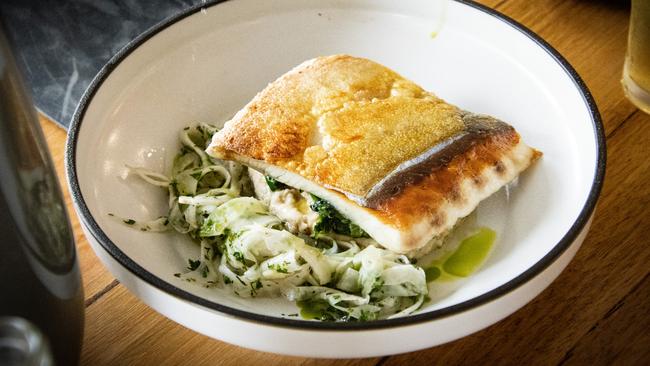 Dry-aged kingfish, fennel and white bean puree at 1802.