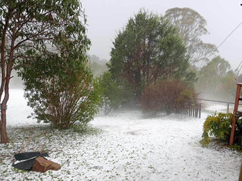 Brisbane Weather Woman Dies After Tree Falls On Her As 87km H Winds