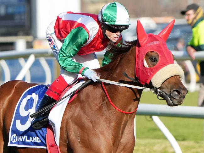 Craig (GB) on the way to the barriers prior to the running of Hyland Race Colours Toorak Handicap at Caulfield Racecourse on October 12, 2024 in Caulfield, Australia. (Photo by George Sal/Racing Photos via Getty Images)