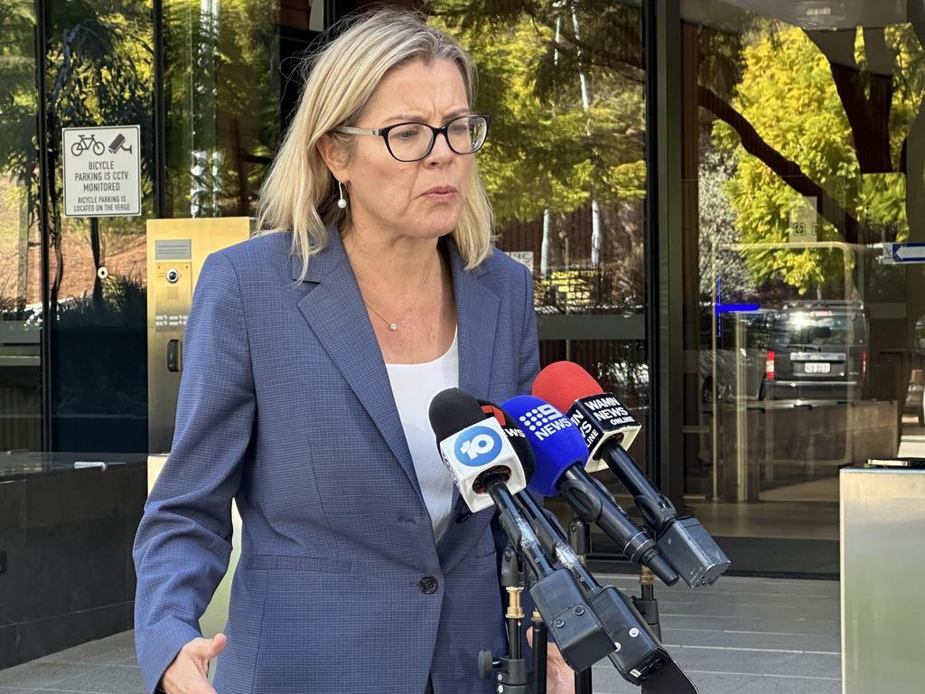 WA Liberal leader Libby Mettam welcomed the news but was disappointed the government had not criminalised coercive control. Picture: NewsWire / Emma Kirk