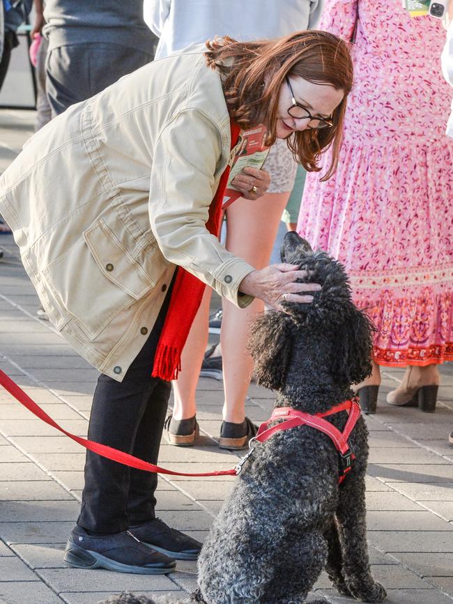 Boothby Labor candidate Louise Miller-Frost in Brighton. Picture: NCA NewsWire/Brenton Edwards