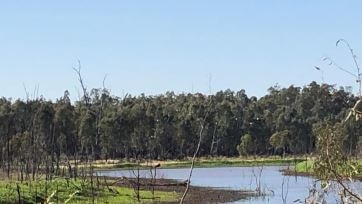 Paramedics, police and SES crews were called after reports of an unresponsive body in the water at Loch Garry, Bunbartha.