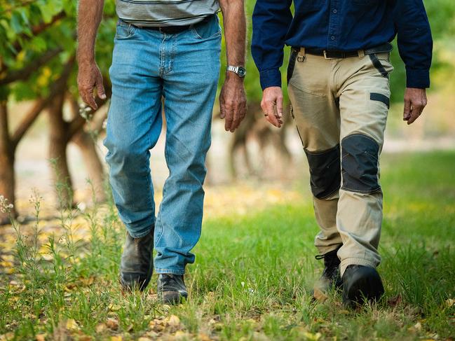 Farmers will now have greater responsibility when it comes to their workers hired through labour hire companies. Picture: Tom Huntley/File