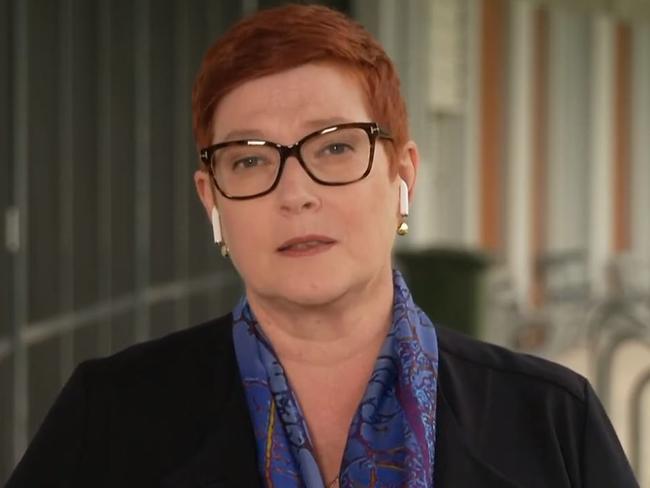 Marise Payne teamed her earpods with earrings in a recent Sky interview.