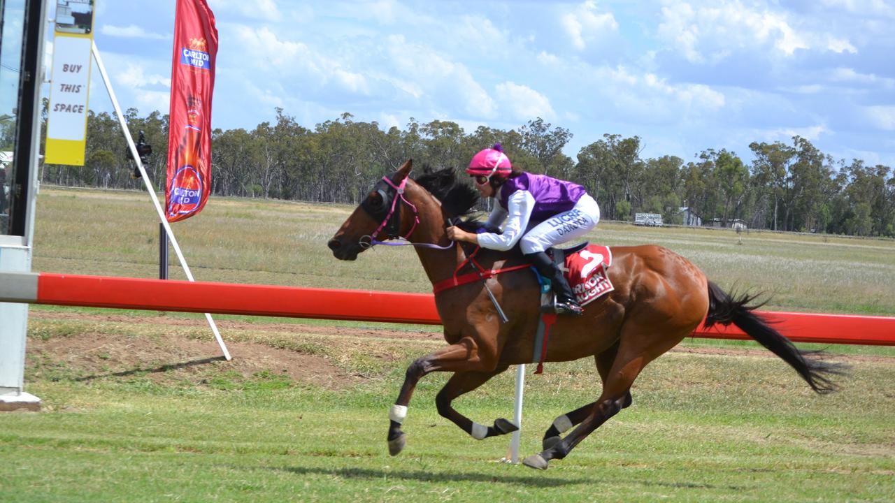 More women are getting involved in racing across all roles. Chinchilla Cup Day 2016.