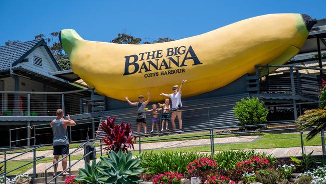 The Big Banana. 22 JAN 2020