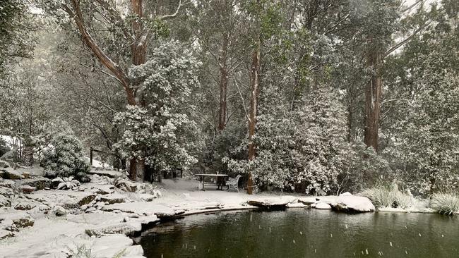 Snow falling thick and fast in Fern Tree, in Hobart, Tasmania on August 4, 2020. Picture: Iain Kelly