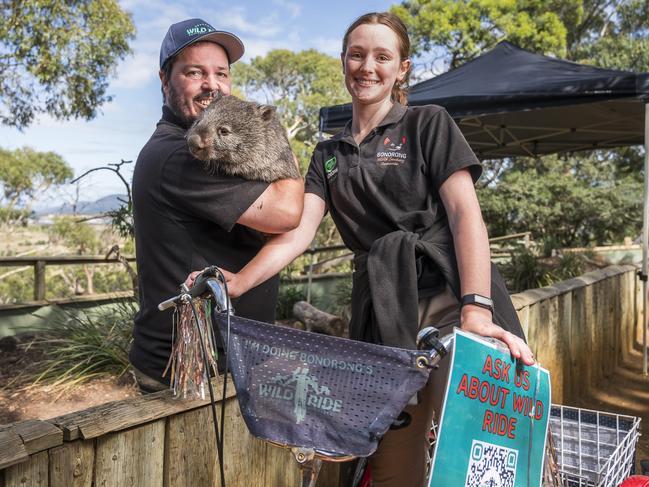 Greg Irons with Bingo the Wombat and Steph Parker on the bicycle for Wild Ride charity ride at Bonorong Wildlife Sanctuary. Picture: Caroline Tan