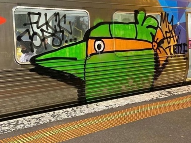 A ninja turtle themed "Pam the Bird" spotted on a train in Melbourne. Picture: Instagram