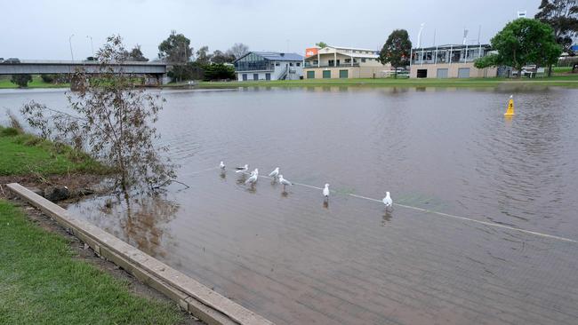 The Barwon River ahead of predicted rain storms and rising river levels. Picture: Mark Wilson