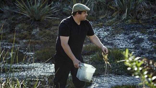 Chef Vaughan Mabee at Amisfield Winery &amp; Bistro, which grows 80 per cent of its produce.