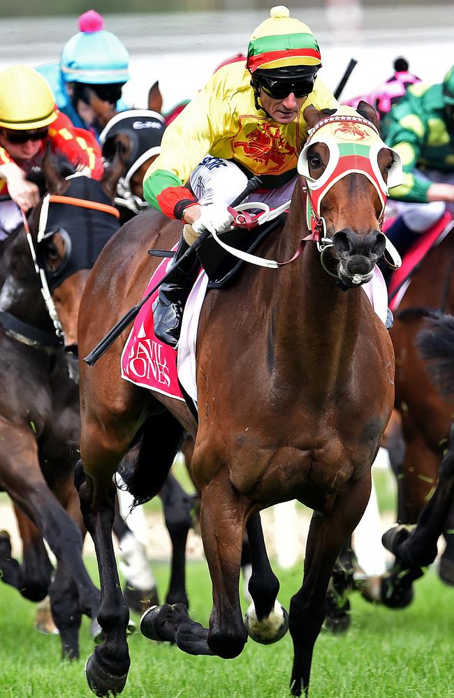 Lucky Hussler has been heavily supported to win again at Moonee Valley. Picture: AAP