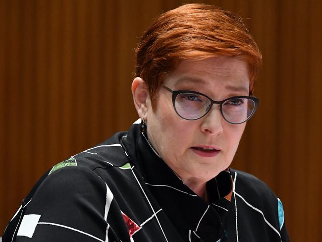 Marise Payne. Picture: Getty Images