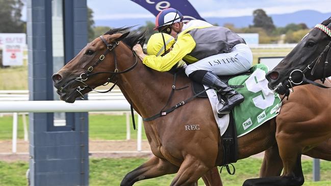 Coco Jamboo arrived in time to win the Group 3 Hawkesbury Crown. Picture: Bradley Photos